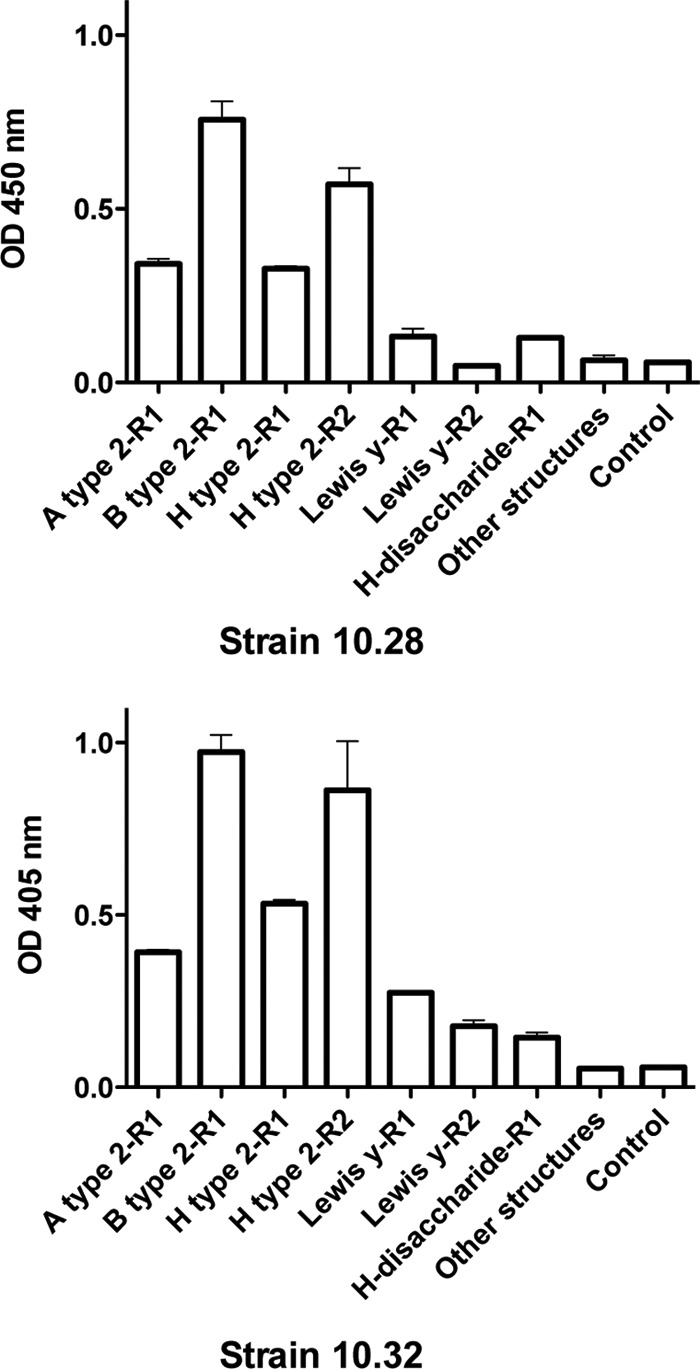 FIG 5