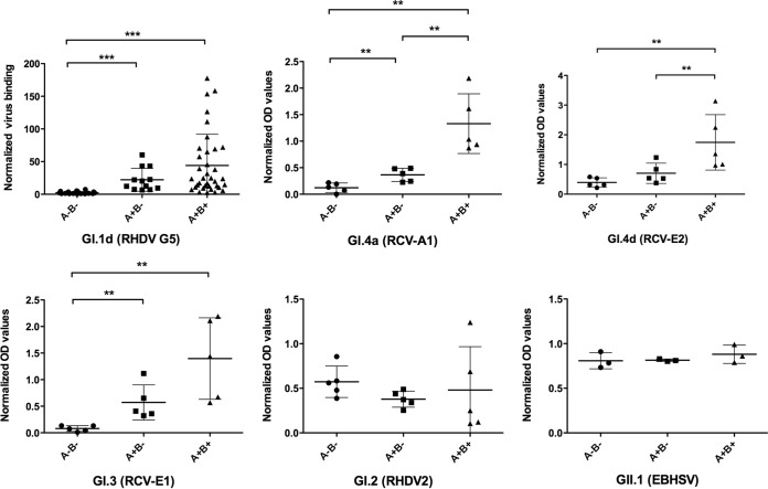 FIG 2