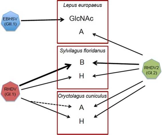 FIG 10