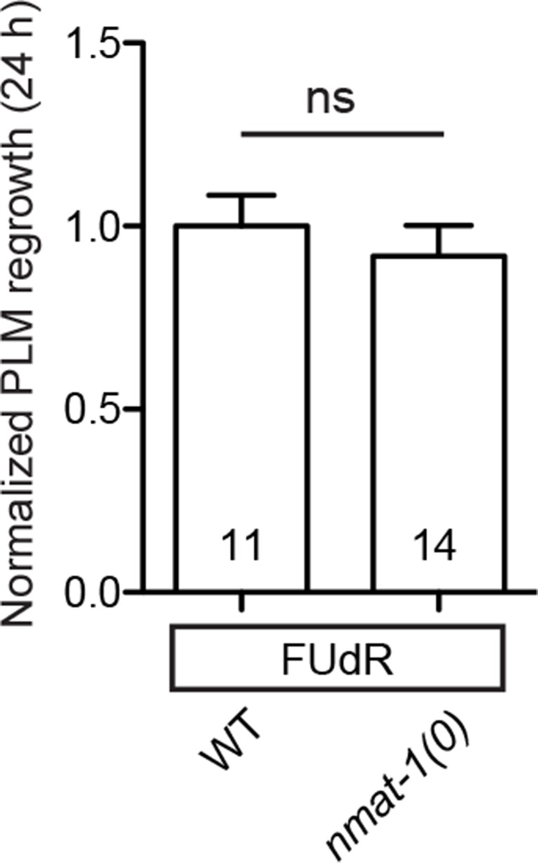 Figure 2—figure supplement 1.