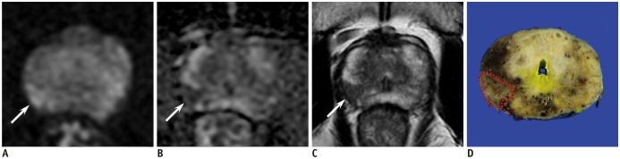 Fig. 5