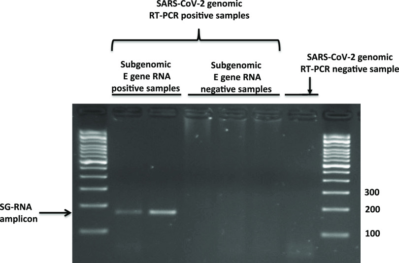 FIG 1