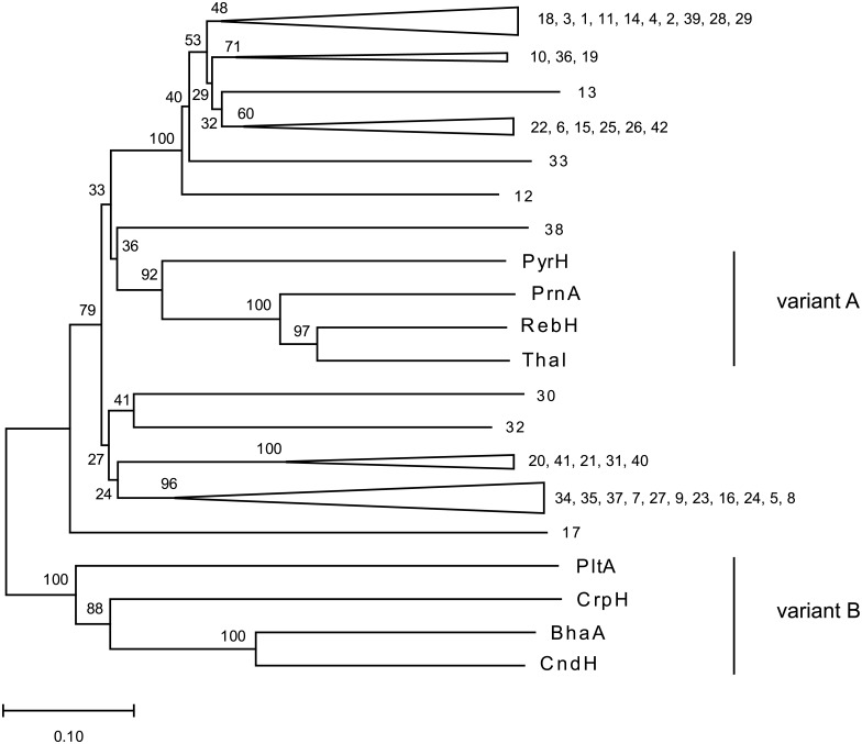 Fig 1