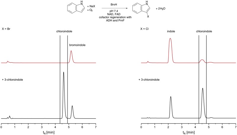 Fig 5