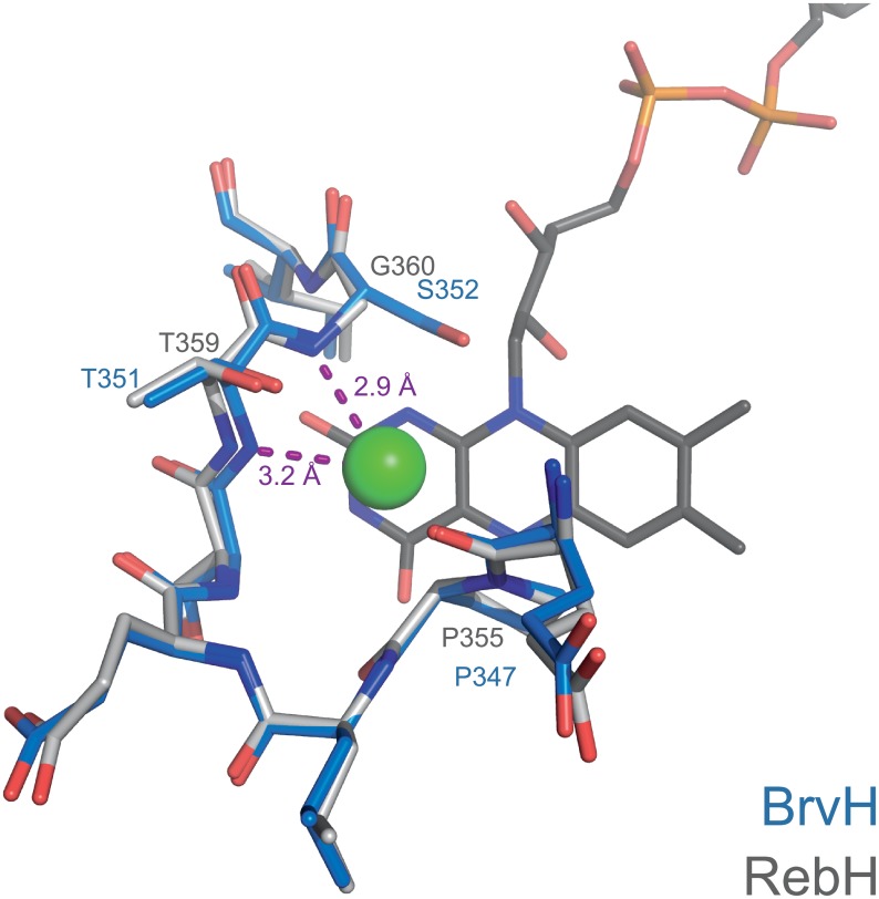 Fig 8