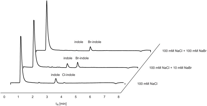 Fig 6