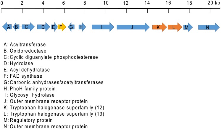 Fig 2