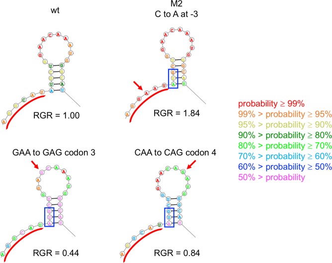 Fig 12