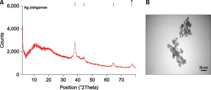 FIG. 1