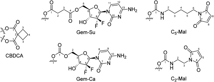 Fig. 11