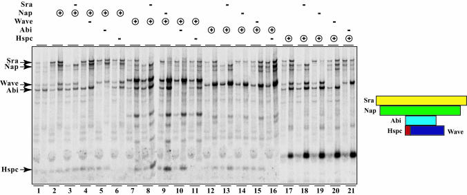 Fig. 4.