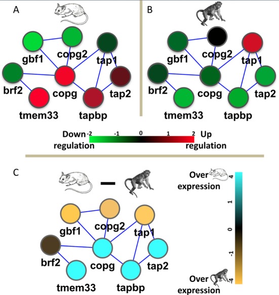 Figure 2.