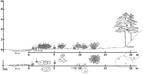 Figure 3
