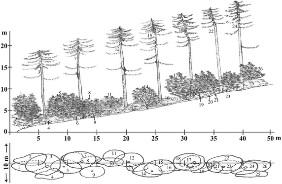 Figure 6