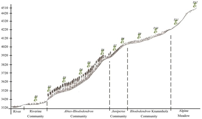 Figure 4