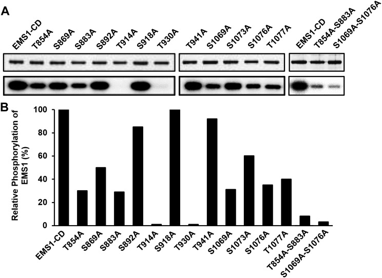 Figure 6.