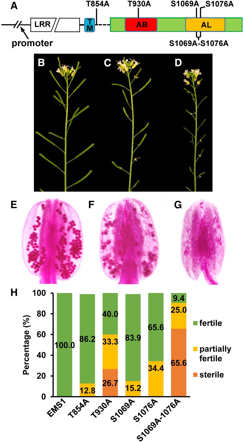 Figure 7.