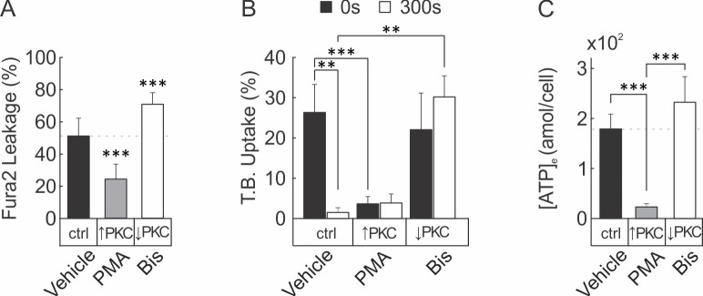 Figure 6—figure supplement 1.