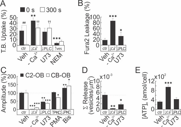 Figure 6—figure supplement 2.