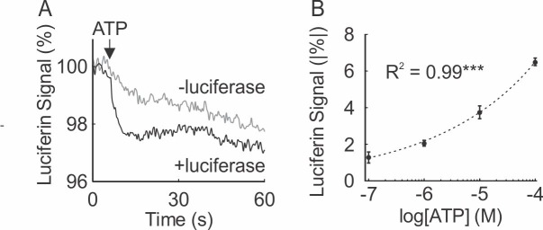 Figure 2—figure supplement 1.