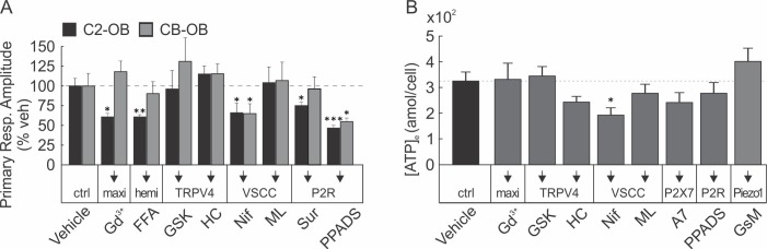 Figure 3—figure supplement 1.