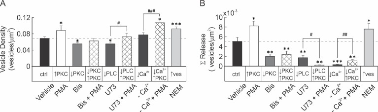 Figure 6—figure supplement 3.