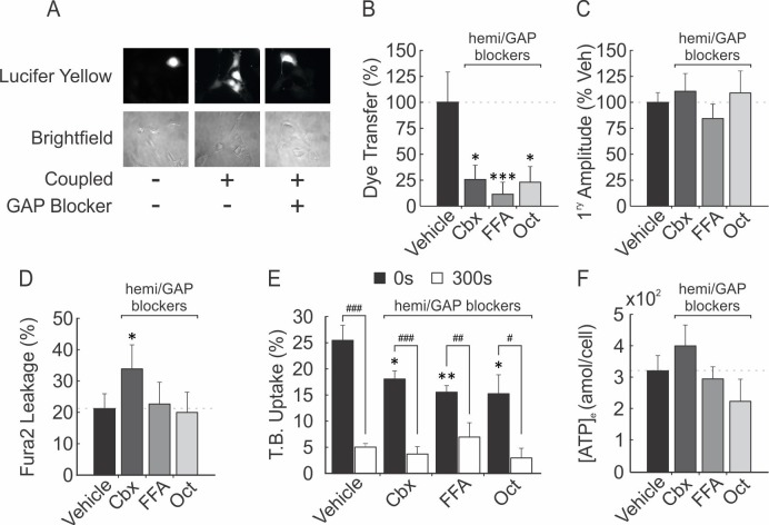 Figure 4—figure supplement 1.