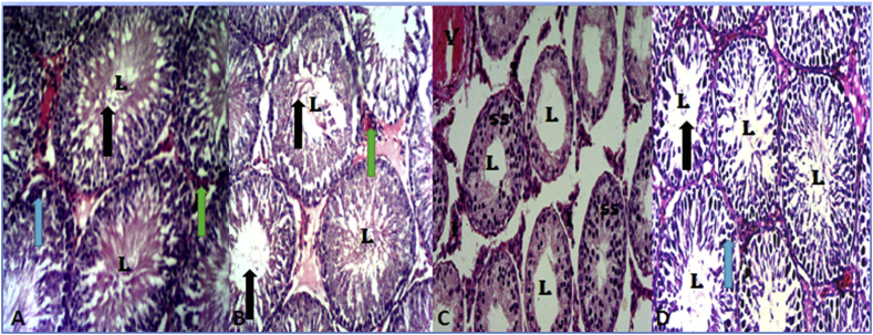 Fig. 3