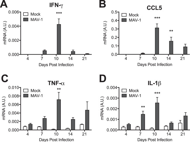 FIG 3