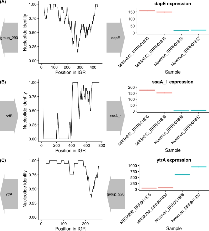 Figure 4: