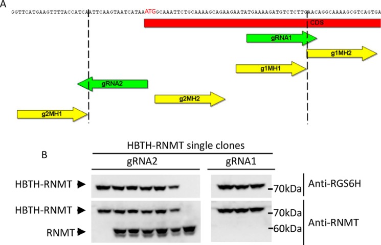 Figure 5.