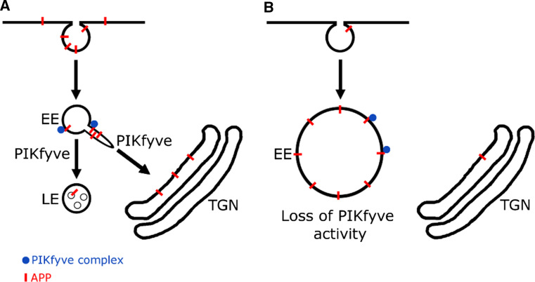 Fig. 6