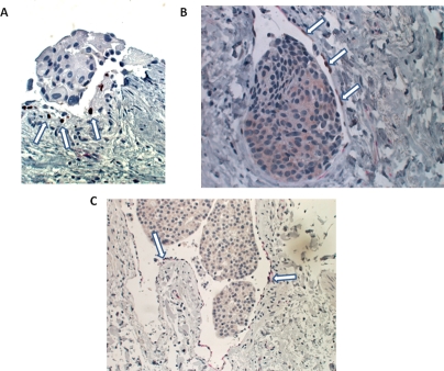 Figure 10.