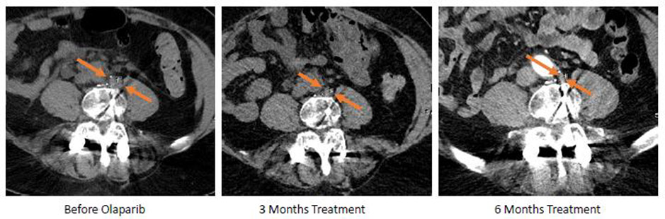 Figure 4: