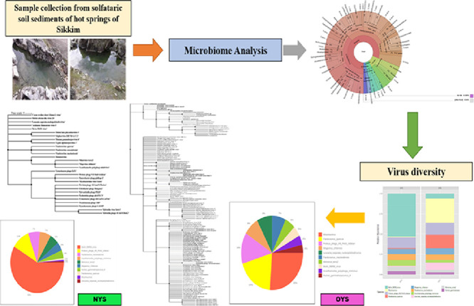 Image, graphical abstract