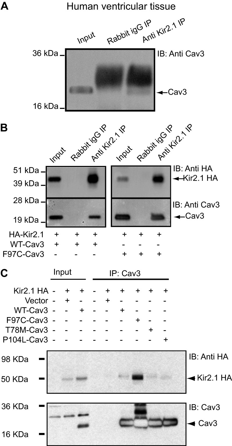 FIGURE 3.