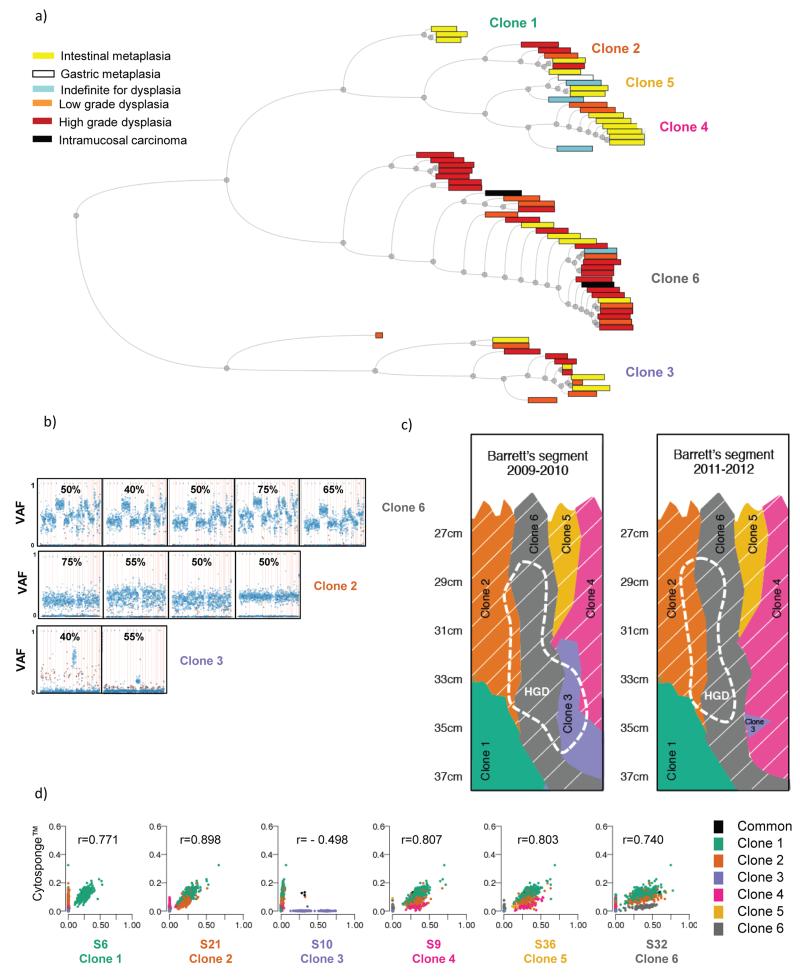 Figure 6