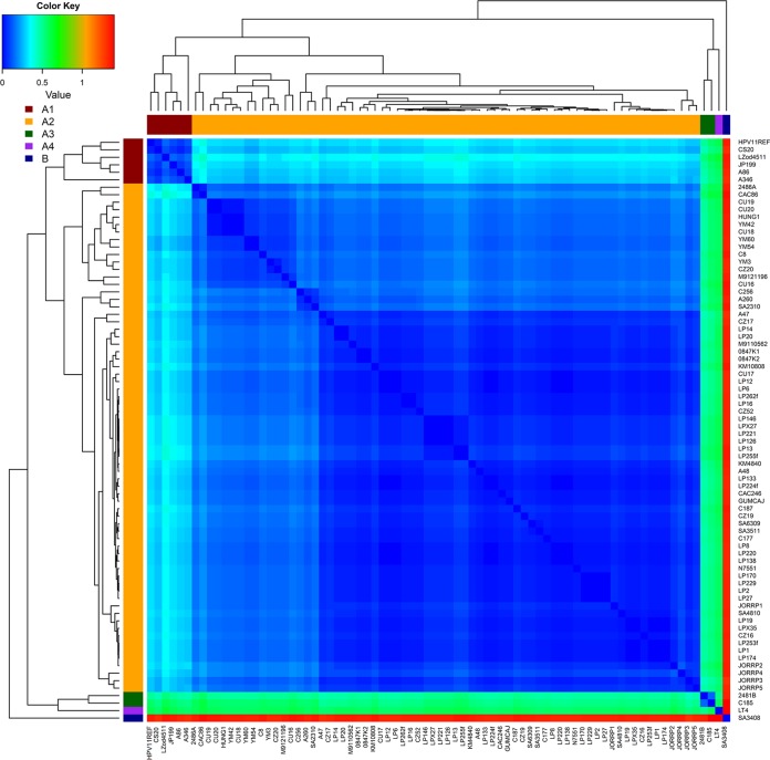 FIG 1