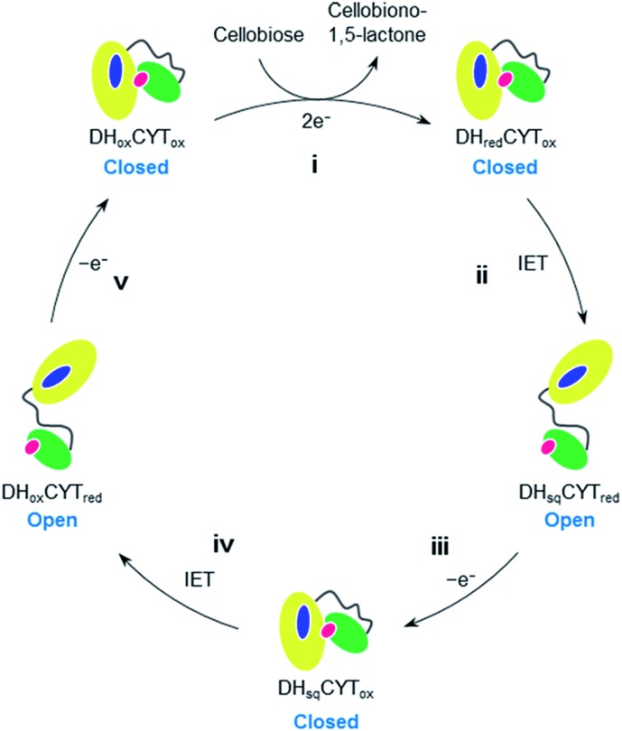 Fig. 4