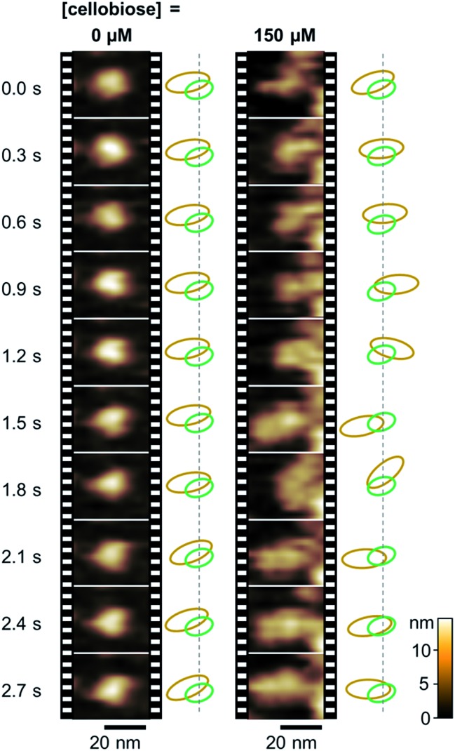 Fig. 2