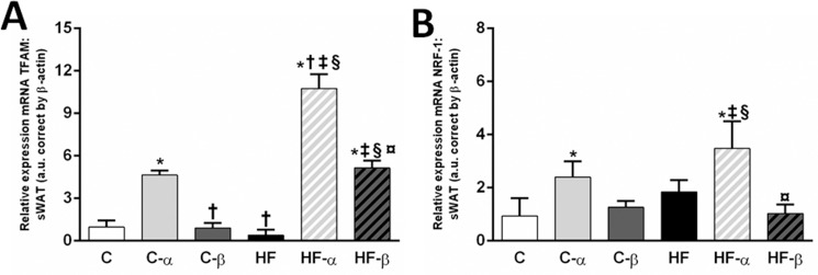 Fig 8