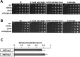 Figure 6—figure supplement 2.