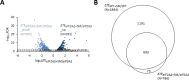 Figure 2—figure supplement 1.