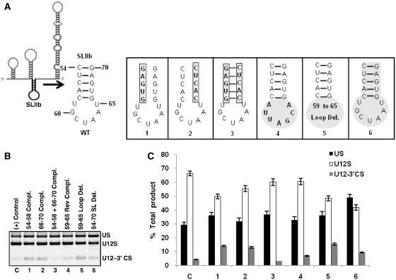 Figure 5.