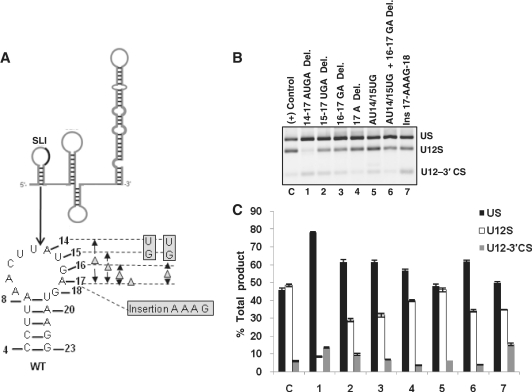 Figure 2.