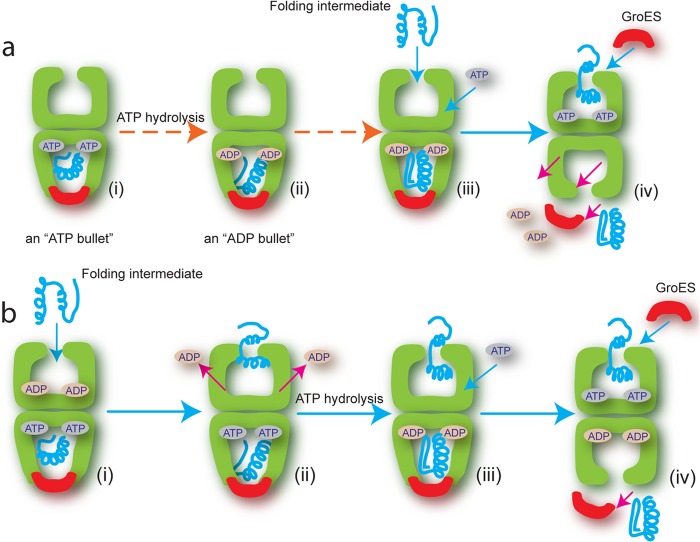 FIGURE 1.