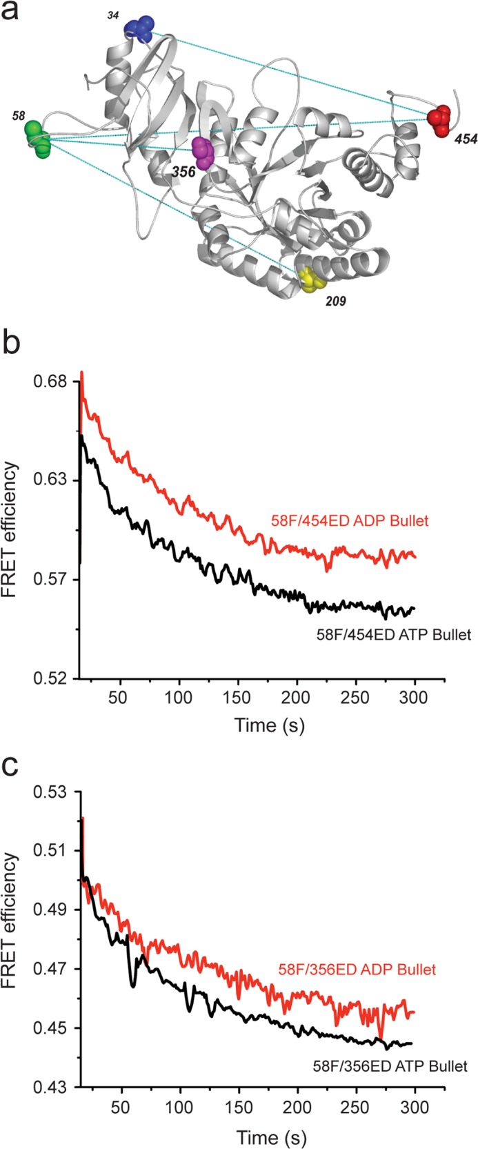 FIGURE 3.