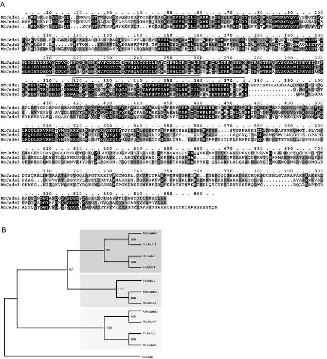 FIG. 6.