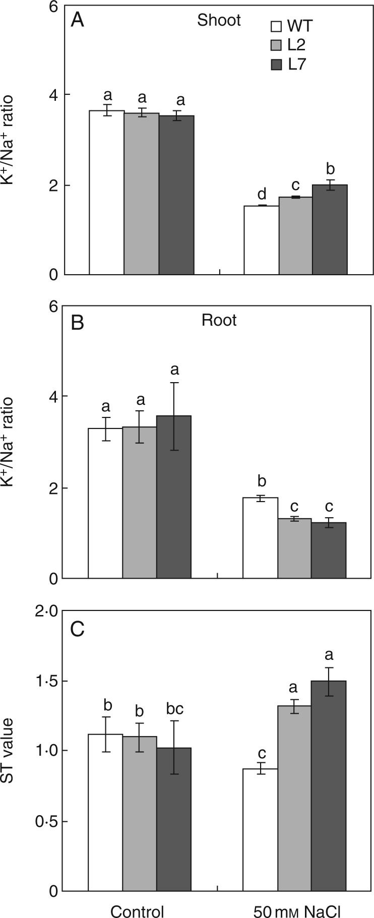 Fig. 6.