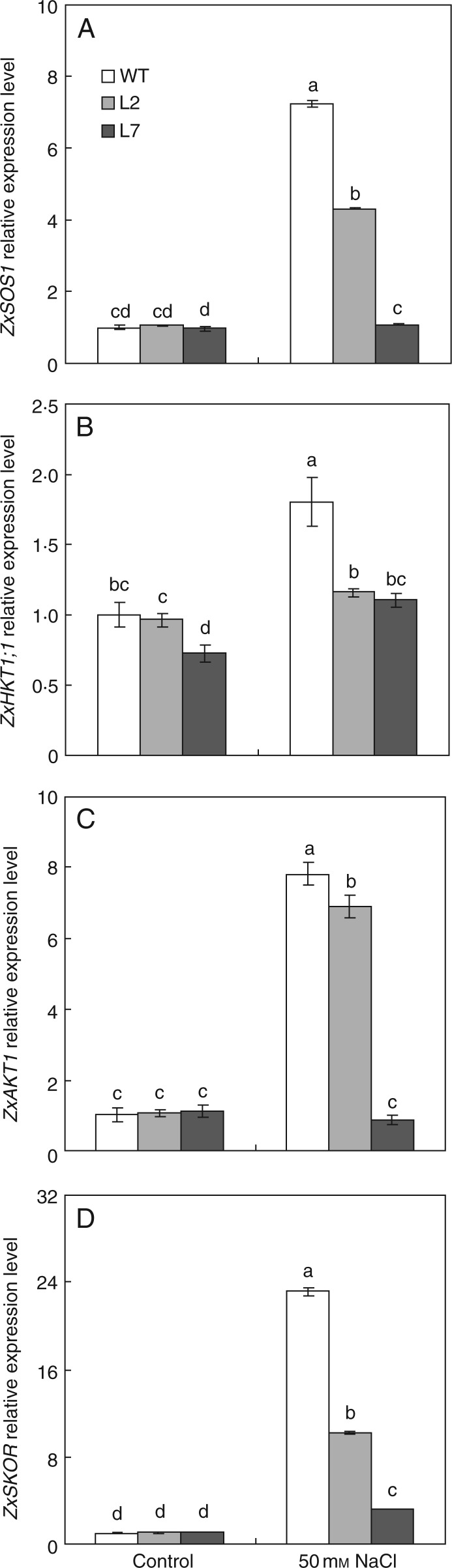 Fig. 7.